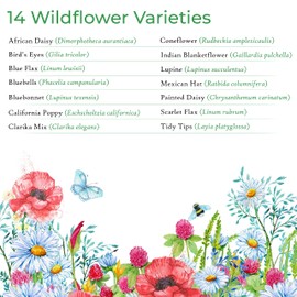New Mexico Wildflower Seed Mix, Covers 325 Sq Ft, 14 Flower Varieties, Over 30,000 Seeds, Created By Nature