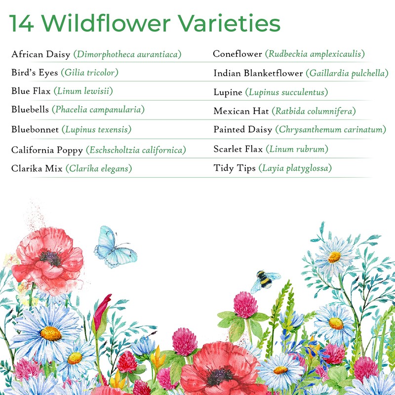 New Mexico Wildflower Seed Mix, Covers 325 Sq Ft, 14