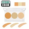 Derma Color Perfect Concealer Palette for Body 0.4 oz (10
