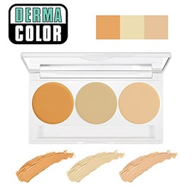 Derma Color Perfect Concealer Palette for Body 0.4 oz (10 g)