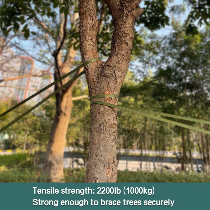 Tenn Well Tree Support Strap, 65 Feet x 1 inch