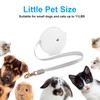 Retractable Dog Leash for Small Dogs Cats up to 11lbs