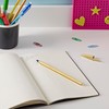 BIC 9213401 Cristal Shine 20 Ballpoint Pens, Elegant Ballpoint Pen