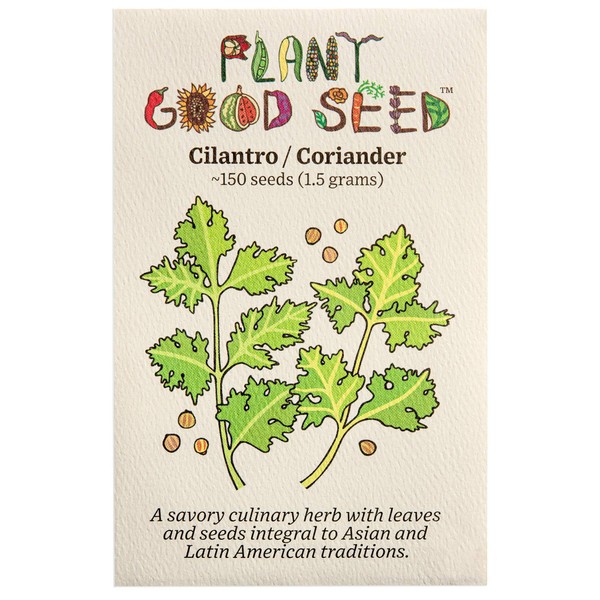 Cilantro Seeds (~150): Certified Organic, Non-GMO, Heirloom, Open Pollinated Seeds