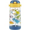 Skater PDSH5-A Dinosaurus Picture Water Bottle, 16.2 fl oz (480