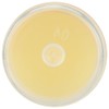 Eco Lips - Mongo Kiss Lip Balm Vanilla Honey -