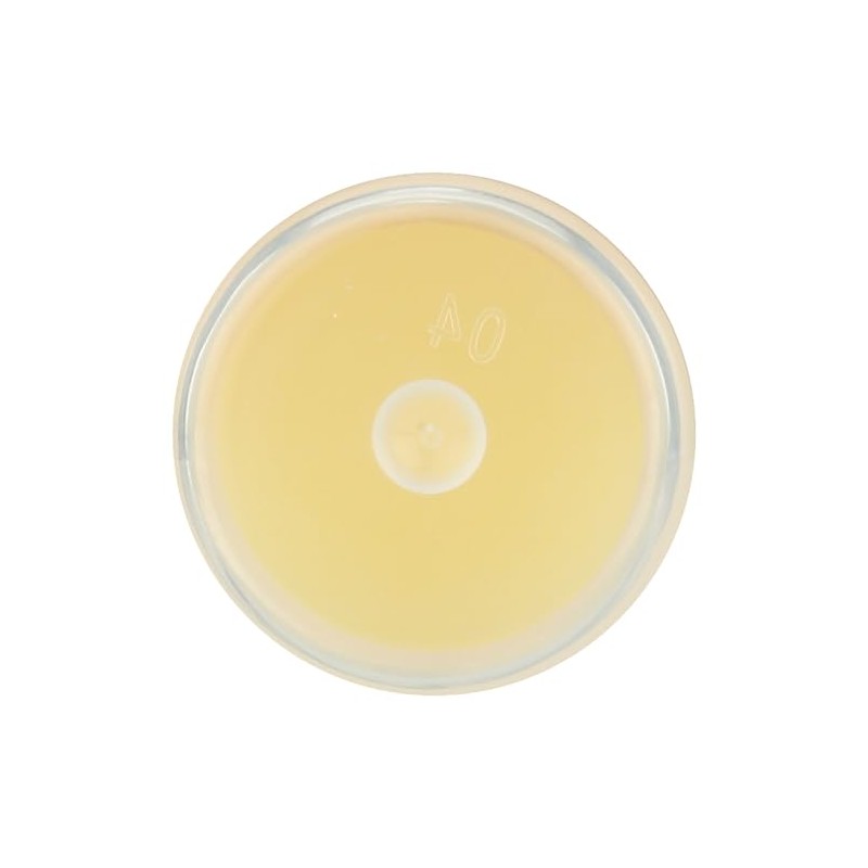 Eco Lips - Mongo Kiss Lip Balm Vanilla Honey -