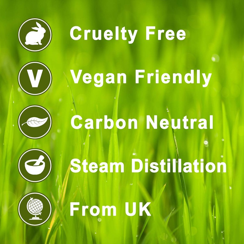 Calmer Solutions 100ml LAVENDER Essential Oil - 100% Pure for