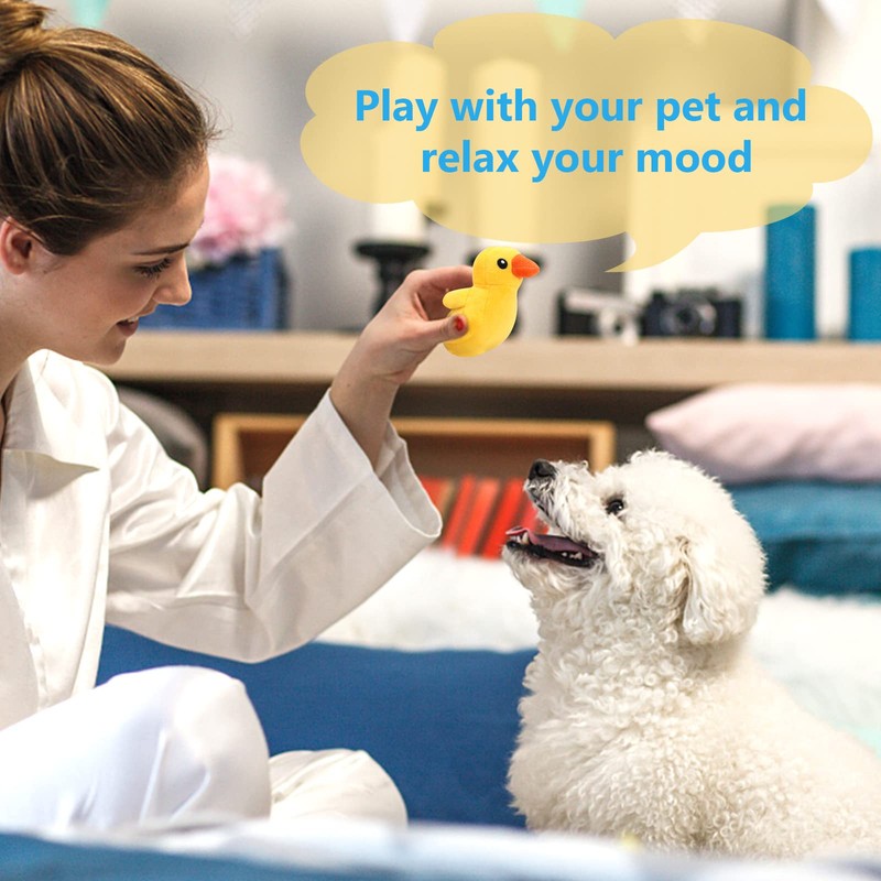 14 Pack Puppy Toys,Dog Squeaky Toys,Small Dog Interactive Teething Plush