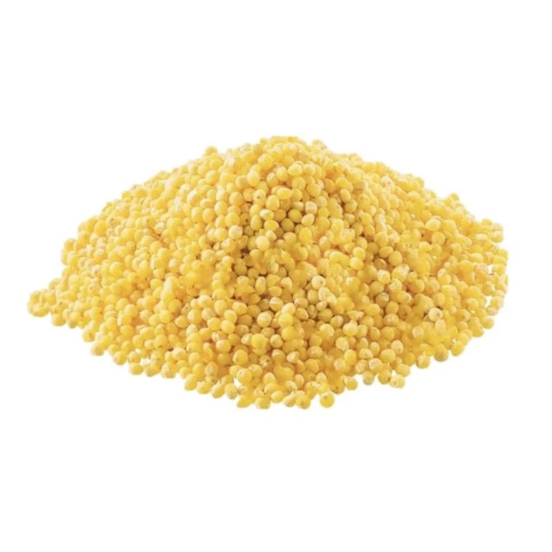North Spore Bulk Organic Millet Grain for Mushroom Cultivation