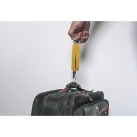 BGS Diy 8033 | Taschenfederwaage | bis 25 kg