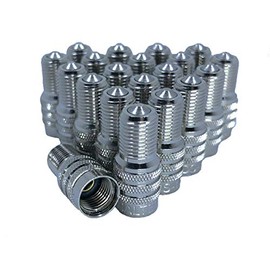 Haltec Pack of 20 Double Seal Inflate Through Valve caps for Trucks RV and Semis