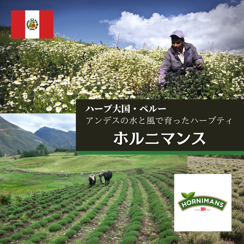 Lemongrass Herbal Tea Hornimans Hierba Luisa Hornimans