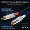 UCINNOVATE RCA Audio Cable for Amplifier, 13 AWG 30cm 2