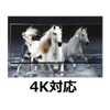 HDMI Cable 2m Ver.2.0 Support 4K HDMI Cable 4K 2M