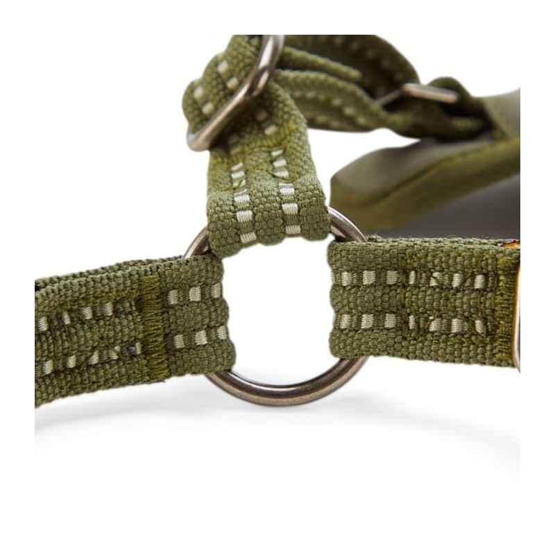 Reddy Step in Small Dog Harness Olive Medium