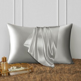 DISANGNI 100% Natural Mulberry Silk Pillow case for Hair and Skin with Hidden Zipper 22 Momme Both Sides Real Silk Pillow Case (1pc Queen Size 20" x30", Light Grey)
