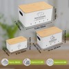 Dekosilave Kitchen Vegetable Storage Set of 3, Metal Onion Garlic
