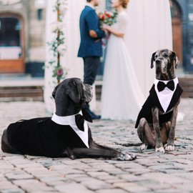 QBLEEV Dog Tuxedo for Large Dogs, Dog Suit and Bandana Set, Formal Wedding Attire Shirt with Detachable Bow Ties Collar, Dog Christmas Outfit Elegant Dog Costumes Pet Clothes for Birthday Party 2XL