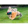House of Paws Dog Toy - Super Soft Plush Squeaky