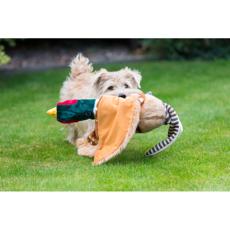 House of Paws Dog Toy - Super Soft Plush Squeaky