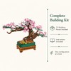 NEWABWN 3-in-1 Cherry Blossom Bonsai Tree Building Set, 711 Pieces