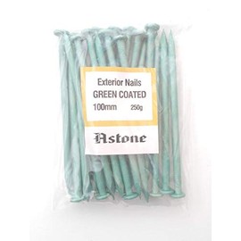 Astone Green Coated Exterior Nails Garden decking Nails (250g x 100mm)