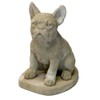 Solid Rock Stoneworks Frenchie Bulldog Concrete Statue, 13" Tall Buff