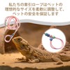 PAVIKE Reptile Training Lead Harness, Lizard Lead, Small Animal Lead,