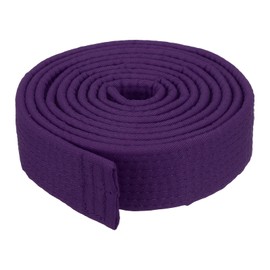 PATIKIL Taekwondo Colored Ranking Belt 1.6" x7.2Ft 2.2m, Polyester Martial Arts Judo Karate Belt for Coach Teaching Practice, Purple