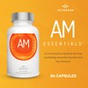AM Essentials