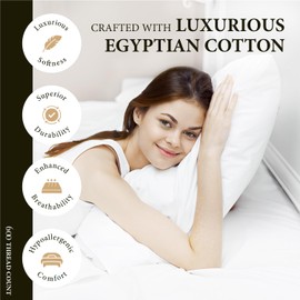 Ashton Sheets 100% Egyptian Cotton King Size Pillowcases Set of 2, 600 Thread Count Egyptian Cotton Sateen Weave King Pillow Cases, Silky Soft Hotel Quality Bed Pillow Covers for Sleeping (Silver)