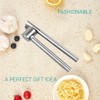 iDopick Premium Garlic Press, 304 Stainless Steel Kitchen Garlic Mincer