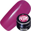 PRE GEL PG-CE904 Color EX Deep Wine, 0.1 oz (3