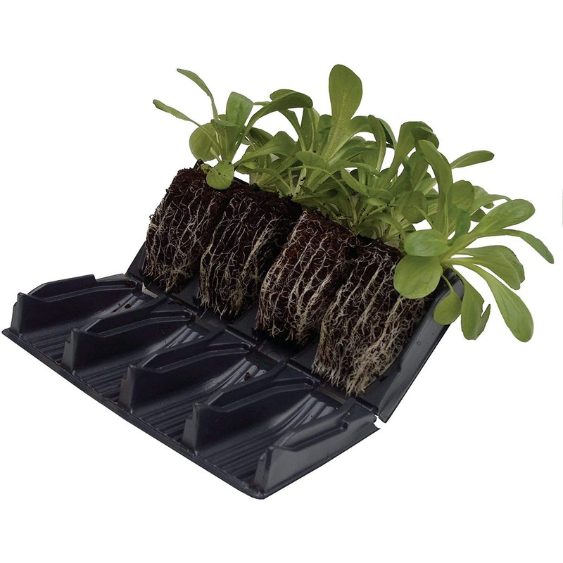 RAPID ROOTRAINERS x 1