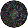 Bgraamiens Puzzle-The Indian Feather-1000 Pieces Round Puzzle Color Challenge Jigsaw