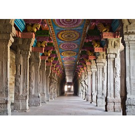 Loccor Fabric 9x6ft Hindu Temple Backdrop Indian Meenakshi Temple Traditional Cultural Pattern Photography Background Indian Landmark Religious Travel Portrait Photo Booth Studio Props Wallpaper