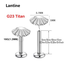 Labret Piercing 16g (1.2mm) - G23 Titanium Pin Plug with Shell - 6mm, 8mm, 10mm, 12mm Bar Length - for Helix, Tragus, Cartilage, Monroe, Lip Piercing - Push-in without Thread, Includes Insertion Aid,