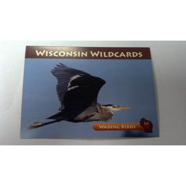 WISCONSIN WILDCARDS, GREAT BLUE HERON, WADING BIRDS, 3-1/2" X 2-1/2"