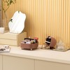 LIONLINK Makeup Organisers, Make Up Storage, Cosmetic Organiser, Dressing Table