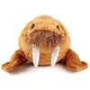Real Stuffed Walrus nesoberi Series