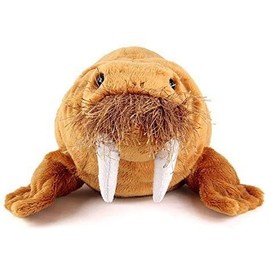 Real Stuffed Walrus nesoberi Series
