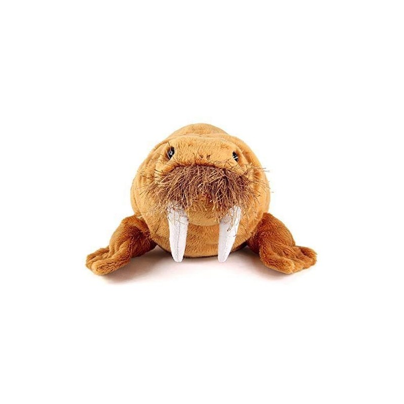 Real Stuffed Walrus nesoberi Series