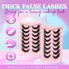 Losha Lashes Volume False Eyelashes Fluffy Cat Eye Lashes 7