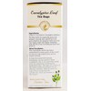 Celebration Herbals Organic Eucalyptus Leaf Tea Caffeine Free -- 24