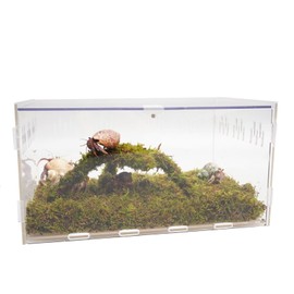Jinymral Hermit Crab Tank, Starter Cage Kit with 7 Inch Adjustable Climbing Toys and 3.6oz Substrate
