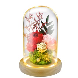 Preserved Flowers Gift | Forever Roses in Glass Dome | Long-Lasting Floral Arrangement for Birthday, Home Decor, and Special Occasions | Unique Forever Flowers for Women, Mom, Girlfriend | Room Decor