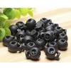 Shapenty Plastic Toggle Single Hole Spring Loaded Elastic Drawstring Rope