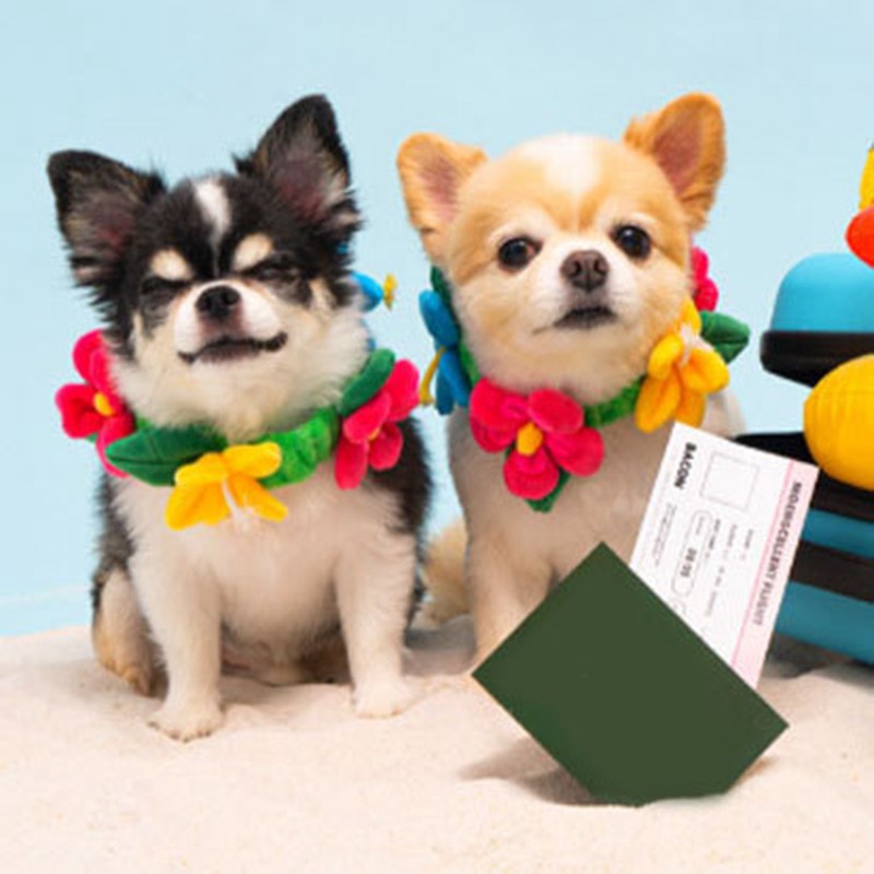 Tug of War Dog Toy Interactive Colorful with Sound Beautiful