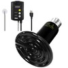 Simple Deluxe 100W Ceramic Reptile Heat Lamp Bulb No Light